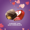 Dove Promises Love Notes Caramel Milk Chocolate Valentine Candy - 7.94 oz