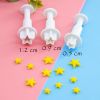 2 Sets Star Shape Cookie Cutters Decorating Fondant Embossing Tool Plunger Cake Cutter Biscuits Mold